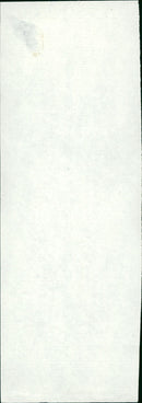 Animals: Snakes Miscellaneous - Vintage Photograph