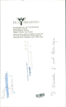 Archipelago boats - Vintage Photograph