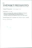 Archipelago boats - Vintage Photograph