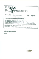 Archipelago boats - Vintage Photograph