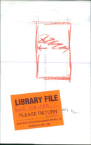 Paul Weller in concert - Vintage Photograph