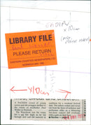 Paul Weller in concert - Vintage Photograph