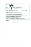 Ferry - Vintage Photograph