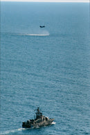 Marine. - Vintage Photograph