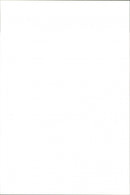 Animal: Dog fights - Vintage Photograph