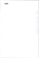 Animal: Dog fights - Vintage Photograph