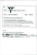 SHIPS: Pomerania - Vintage Photograph