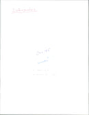 Real Animal Dogs Poodles - Vintage Photograph