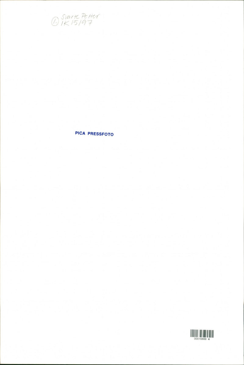 Dobermann - Vintage Photograph