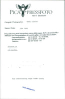 Koala - Vintage Photograph