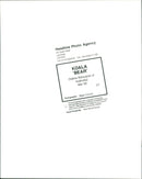 Koala - Vintage Photograph