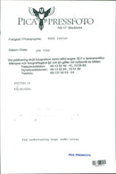 Koala - Vintage Photograph