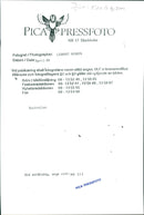 Koala - Vintage Photograph