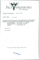 Koala - Vintage Photograph