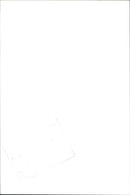 REAL VESSEL QUEEN ELISABETH - Vintage Photograph