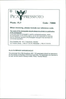 Silja Ferry Symphony - Vintage Photograph