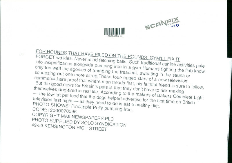 Cairn Terrier - Vintage Photograph