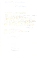 Real Animal Dogs Bloodhound - Vintage Photograph