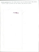 Real Animal Dogs Scottish DeerHound - Vintage Photograph