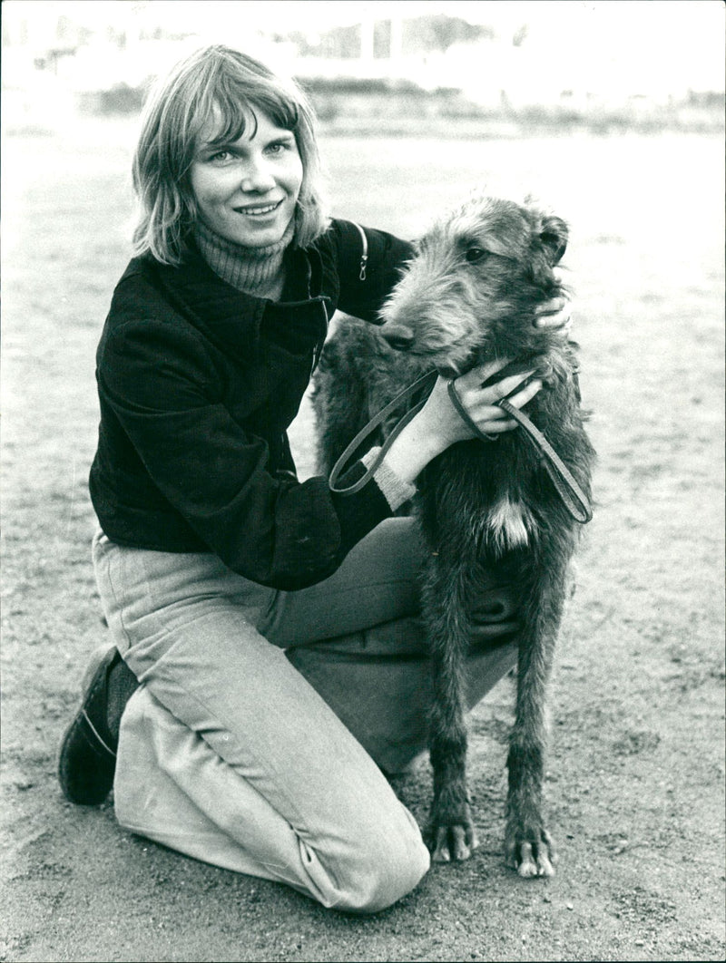 Real Animal Dogs Scottish DeerHound - Vintage Photograph