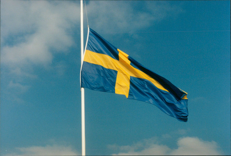 Flags. - Vintage Photograph