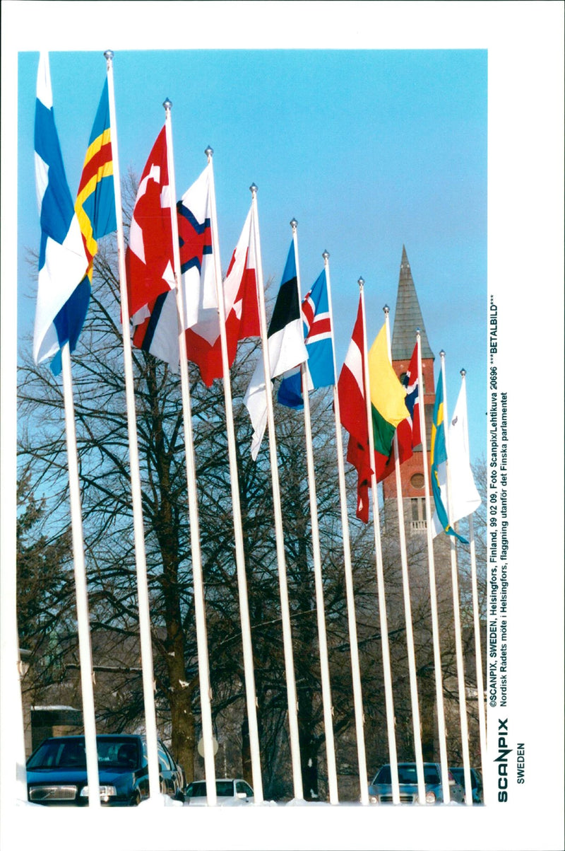 Flags. - Vintage Photograph