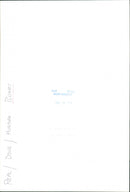 Dogs: Boxer - Vintage Photograph