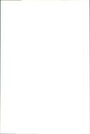 Brown Bears. - Vintage Photograph