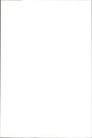 Brown Bears. - Vintage Photograph