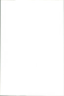 Brown Bears. - Vintage Photograph