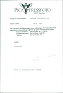 Brown Bears. - Vintage Photograph