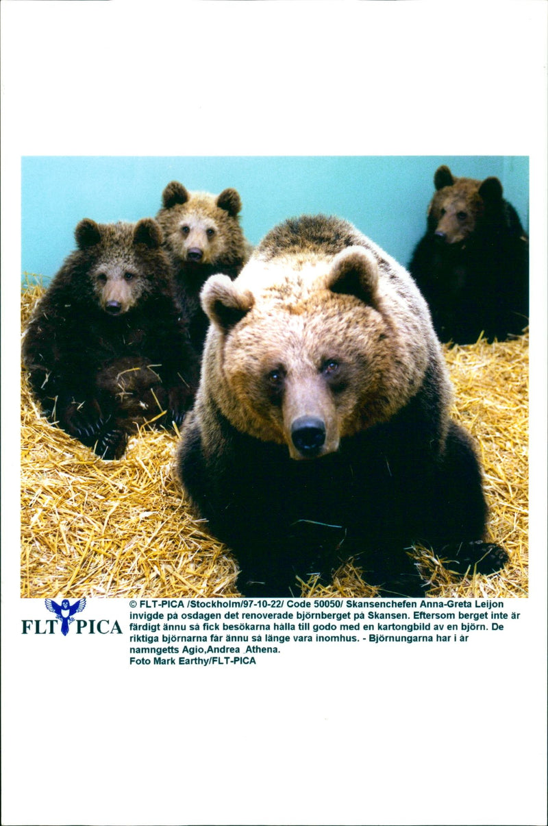 Malay Bears on Skansen - Vintage Photograph