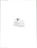 Malay Bear and its cub - Vintage Photograph