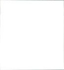 Malay Bears in Skansen - Vintage Photograph