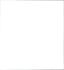 Malay Bears in Skansen - Vintage Photograph