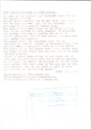 Animals: Bats, Kuhl's pipistrelle. - Vintage Photograph