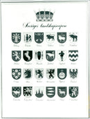 Heraldry of Swedish Landscape Weapons - Vintage Photograph