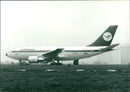 Real FlyG Airbus - Vintage Photograph