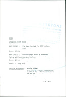 Model in lingerie - Vintage Photograph