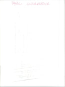 Model in lace underwear - Vintage Photograph