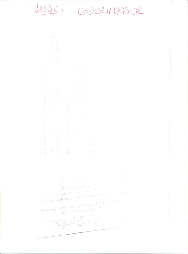 Model in lace underwear - Vintage Photograph