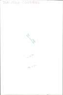 Elephants Indian - Vintage Photograph