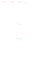 Elephants Indian - Vintage Photograph