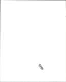 Elephants Indian - Vintage Photograph