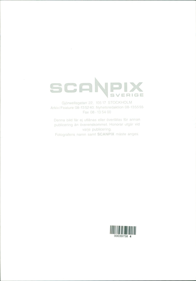 Elephants Indian - Vintage Photograph