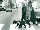 Real Animals Dogs Guide Dogs - Vintage Photograph