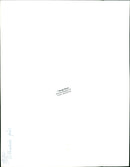 REAL ANIMALS Peacocks White-headed goose - Vintage Photograph