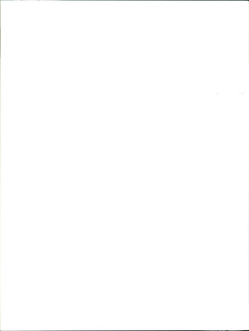 A Nine Days Old Burrowing Owl Chick Is Fed Water Through A Syringe - Vintage Photograph