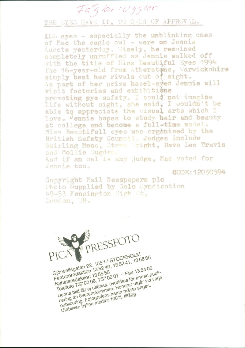 All Eyes Of Mac The Eagle Owl Aucote Yesterday - Vintage Photograph