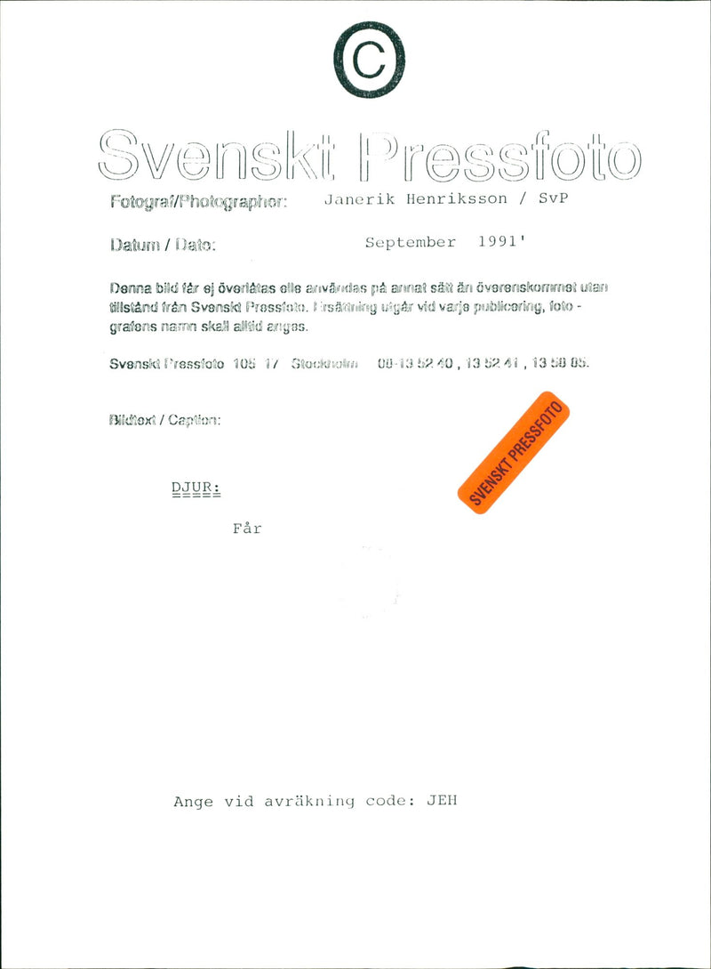 Real Djur Far - Vintage Photograph